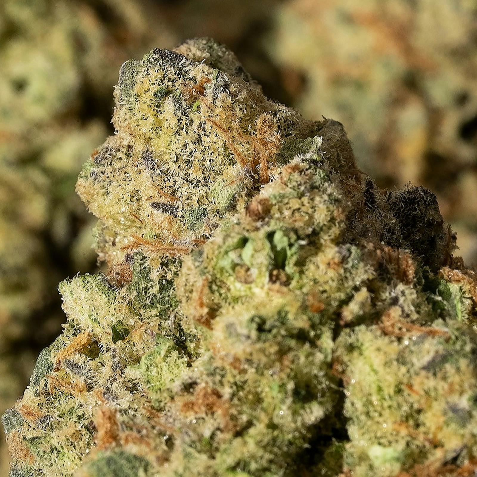 Eus/Devils Lettuce Strain Leafly.Html - 7vkmraw