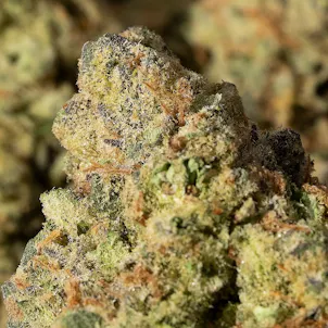 Photo of Steam Devil