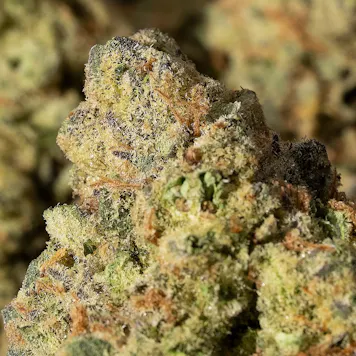 Photo of Steam Devil