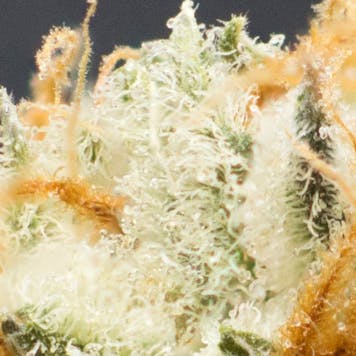 Photo of Ripped Bubba