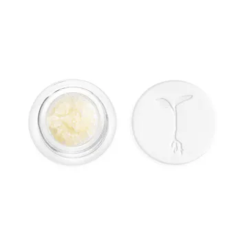 Photo of Temple Of Funk Refined Live Resin™ Crushed Diamonds