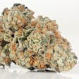 Product image for Monkey Bread #1 (Bred by Certified Portland)