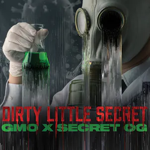 Photo of Dirty Little Secret