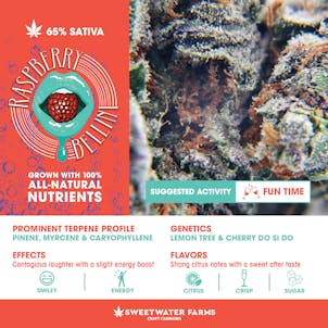 Photo of Raspberry Bellini