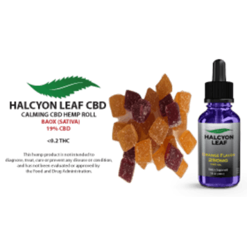 Photo of Halcyon Leaf CBD Starter Package