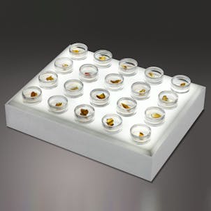 Photo of Xtract Display Trays™