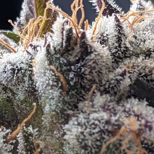 Photo of Bakers Delight