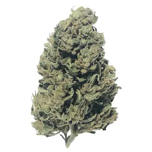 Photo of Cherry Wine Hydroponic CBD Flower