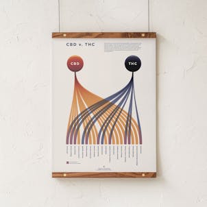 Photo of CBD v. THC Comparison Chart Poster/Print