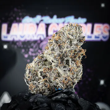 Photo of Laura Charles