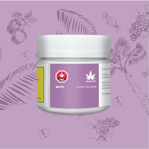 Photo of Namaste Wappa