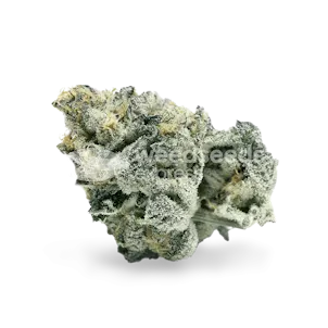 Photo of Girl Scout Cookies Autoflower Seeds