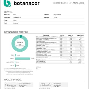 Photo of True Indoor Aurora Haze