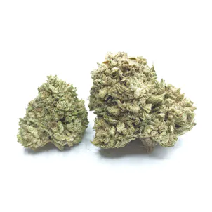 Photo of White Whale CBG Flower