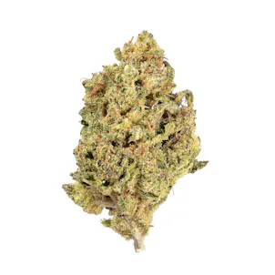 Photo of Blue Dawg | Gold (7g)