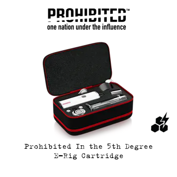 Photo of Prohibited In the 5th Degree - E-Rig Cartridge