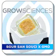 Product image for Sour San Souci x GMO Cookies Live Hash Rosin Baller Jar (3.5g)