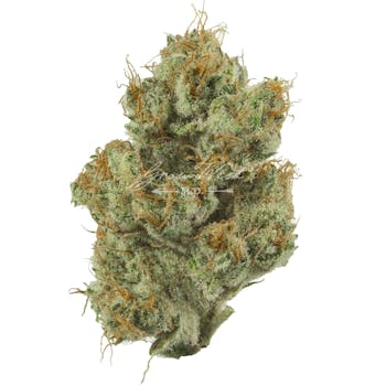 Grow West Shrieker (2pk) PRJs