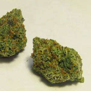 Photo of TRIX Fem Seeds