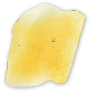 Photo of Nepenthe BTY OG Shatter 1g