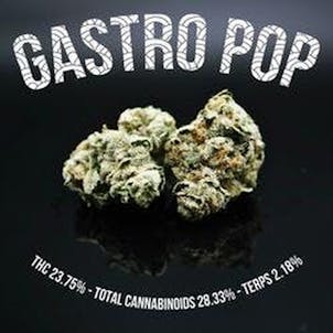 Photo of PhD - Gastro Pop Flower