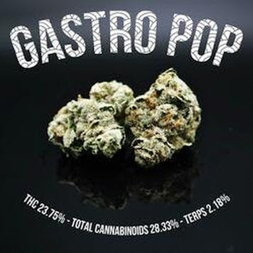Photo of PhD - Gastro Pop Flower