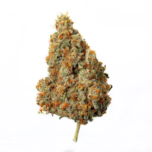 Photo of Blamo 7g