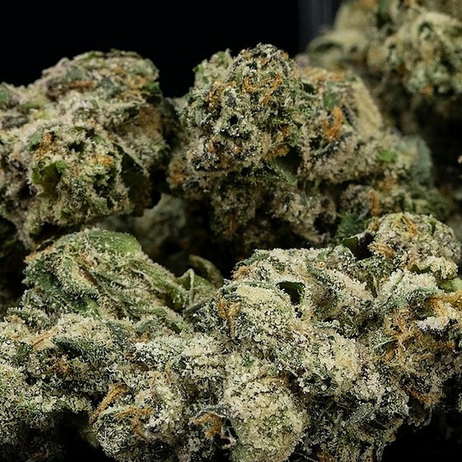 Turtle Pie Co. Turtle Pie Co 'Sunday Paper' Leafly