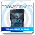 Product image for Strawberries & Cream Bigs