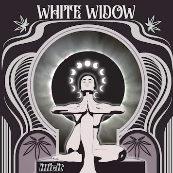 Photo of White Widow 14G Flower