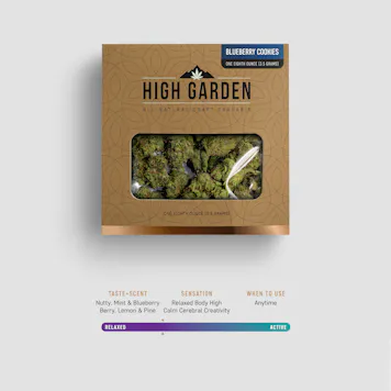 Photo of Blueberry Cookies 3.5G Hybrid Flower