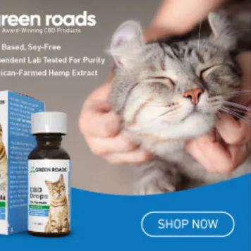 Photo of Pet CBD Drops - CAT Formula 60mg - Hemp Oil | CBD Oil - Green Roads™ - Buy Online Today !!!