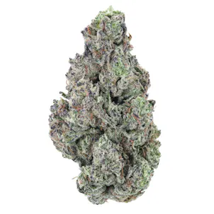 Photo of Blueberry High THCa Hemp Flower