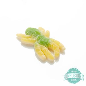 Photo of Spooky Spider (Seasonal)