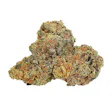 Product image for TABLE TOP Cactus Breath