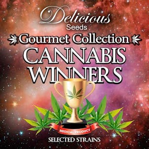 Product image for Gourmet Collection - Cannabis Winner Strains