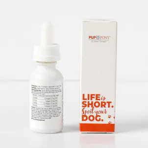 Photo of Canine CBD Oil Drops 480 mg Unflavored BS