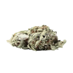 Photo of Italian Ice Feminized Seeds