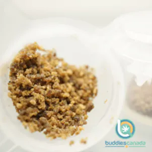 Photo of Buddies Solventless Bubble Hash Orange Crush