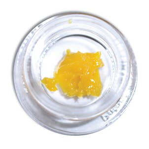 Product image for Live Batter