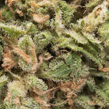 Photo of Namaste Citrique