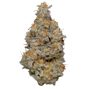 Photo of Woods (Sativa) - 1/8