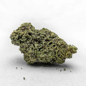 Photo of Strawberry Glue
