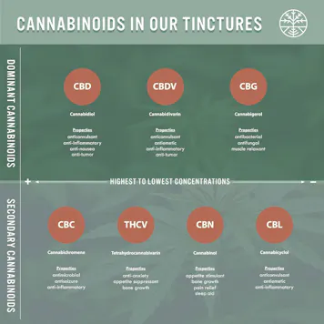 Photo of B A L A N C E • NATURAL FLAVOR