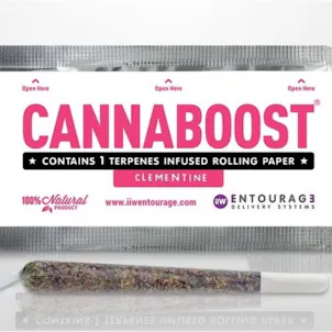Photo of CANNABOOST™ Infused With: Clementine