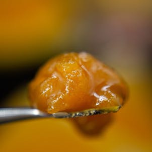 Photo of Cascade Orange Live Batter