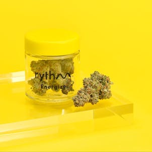 Photo of Damnesia - Energize