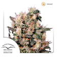 Product image for Euforia