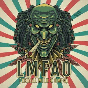 Product image for LMFAO