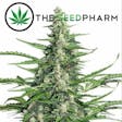 Product image for Ak47 Marijuana Seeds by TheSeedPharm.com